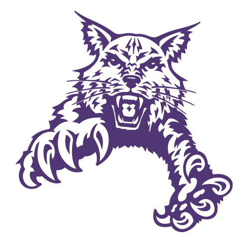 Abilene Christian Wildcats 1997-2012 Partial Iron-on Stickers (Heat Transfers)NO.3677